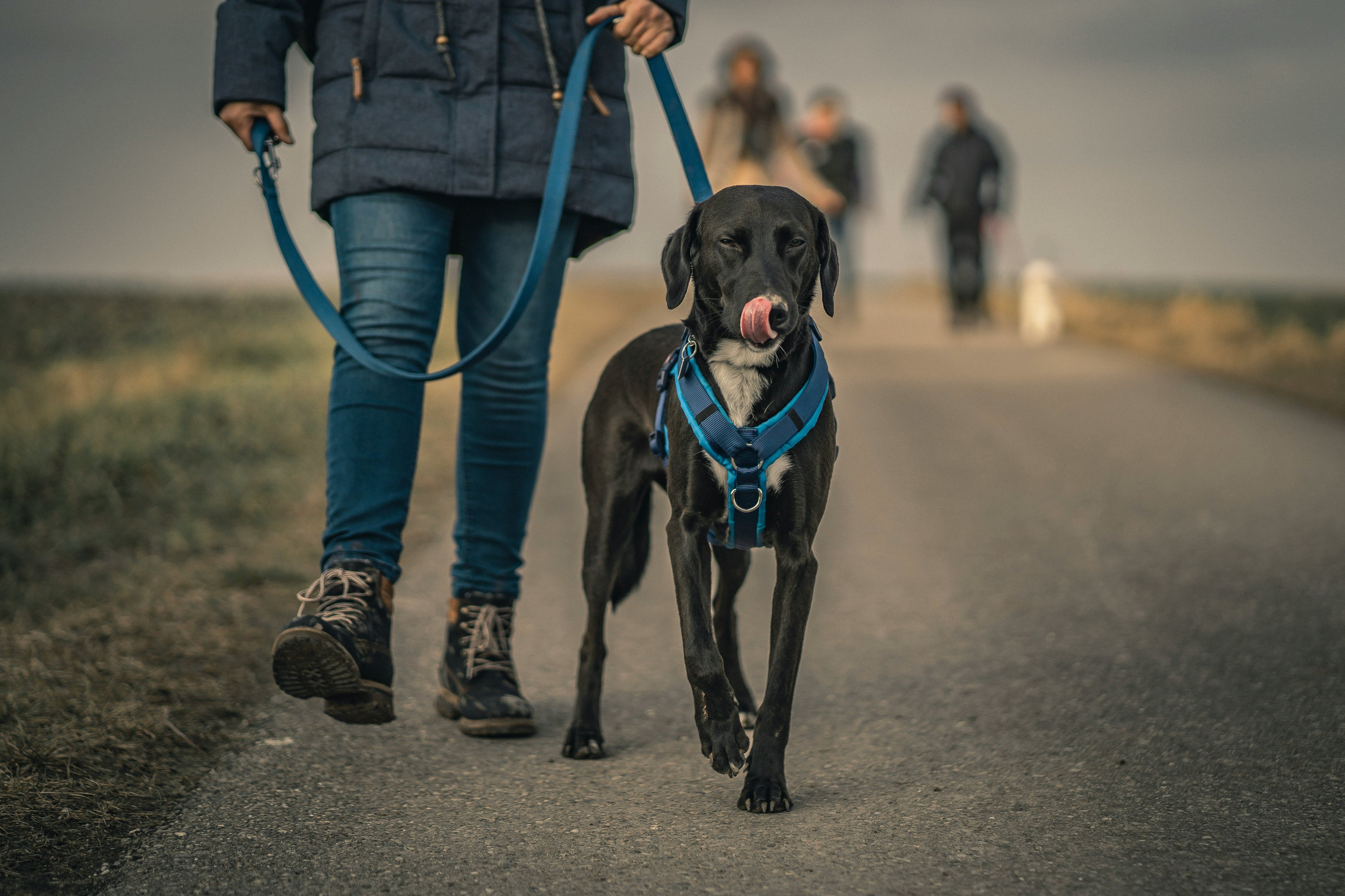 Paseo