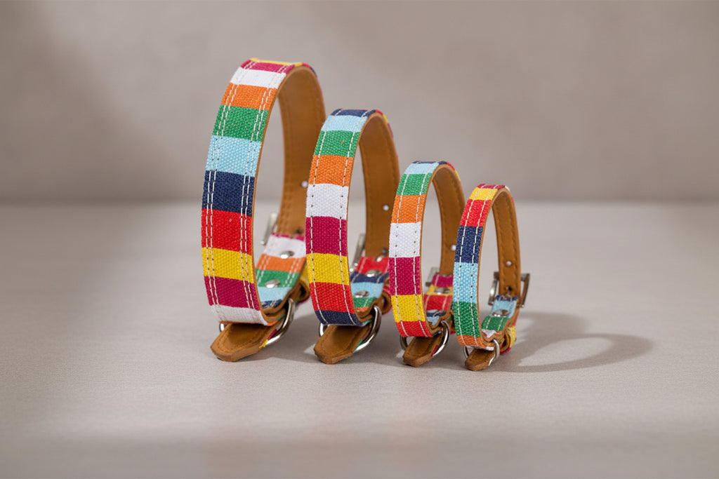 Collar de cuero multicolor